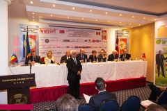 2014 romanya2